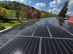 4b82b3d6 3e92 4b05 8c99 a6cd68ba5236 1 105 c 1 - Pradznatury.pl