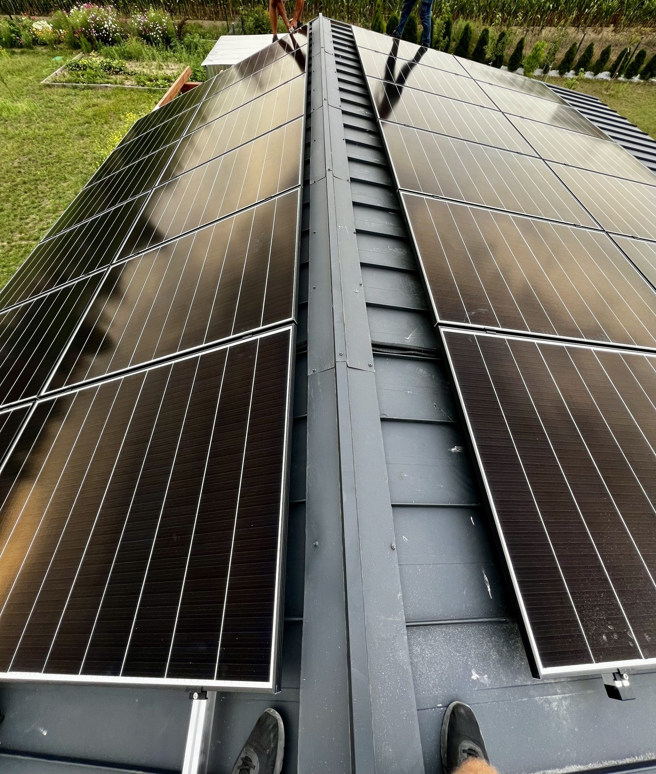 img 2478 scaled - Pradznatury.pl