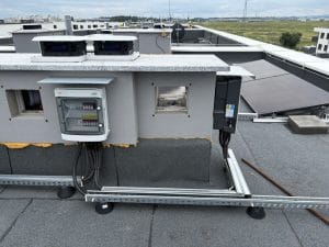 0F406DC9 C833 4D4B 91DD A0C8D8E59850 1 105 c - Pradznatury.pl