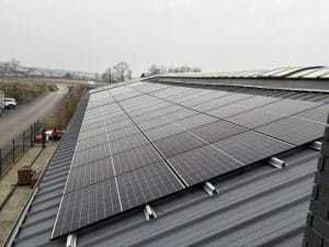 73440ACA 212F 4260 8BF6 01184F6758C0 1 105 c - Pradznatury.pl