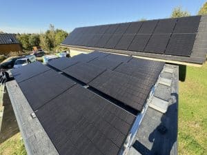 9141FF61 E178 44C4 8A24 3A1266D3079F 1 105 c - Pradznatury.pl